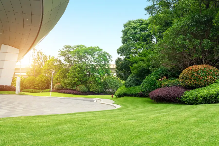 Commercial Lawn Care Services
