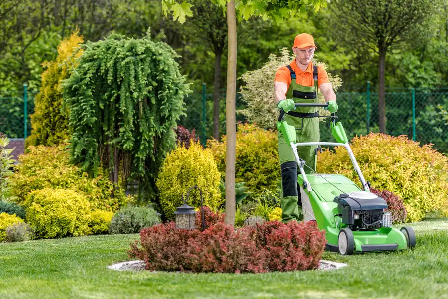 Residential Lawn Care Services