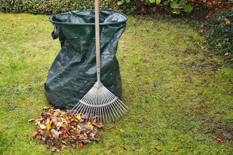 Spring and Fall Cleanup